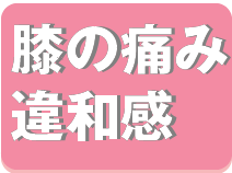 膝の痛み・違和感